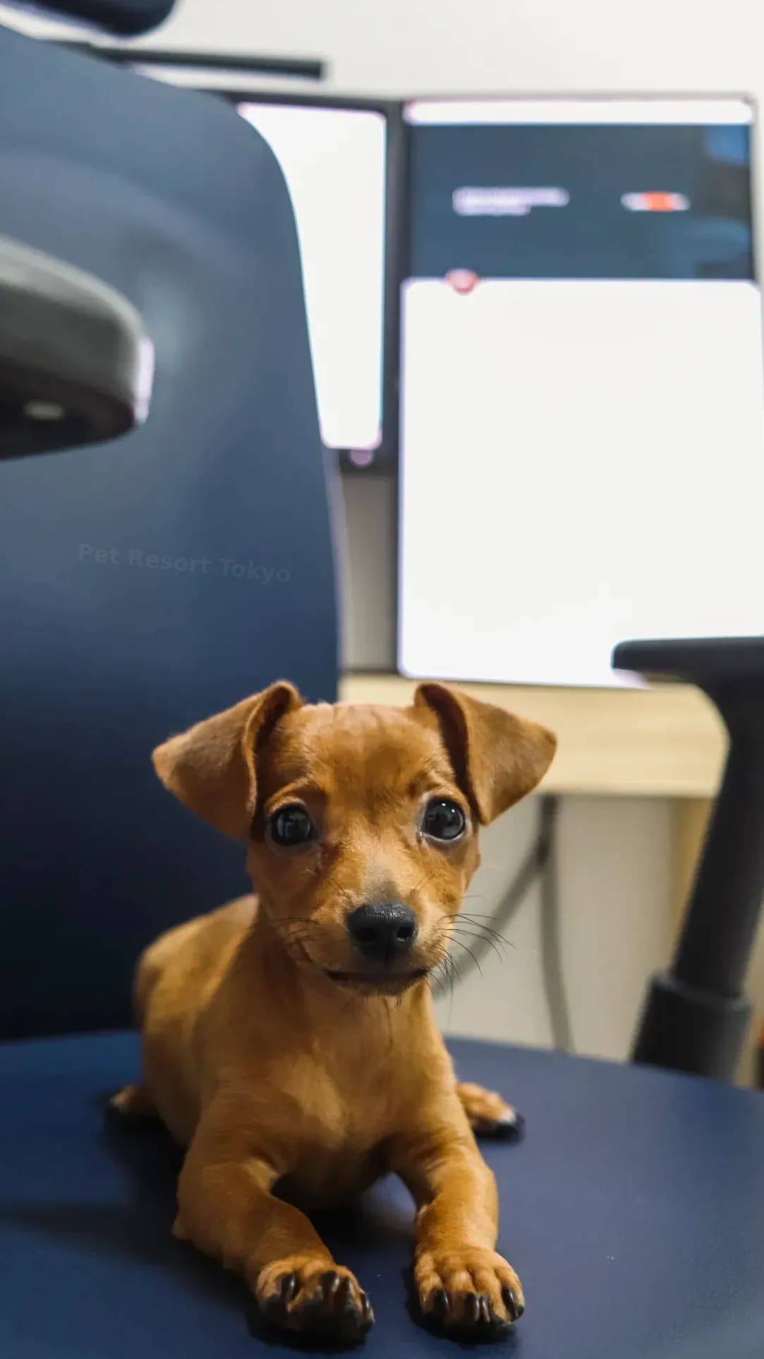 24時間空調管理と清潔な個室